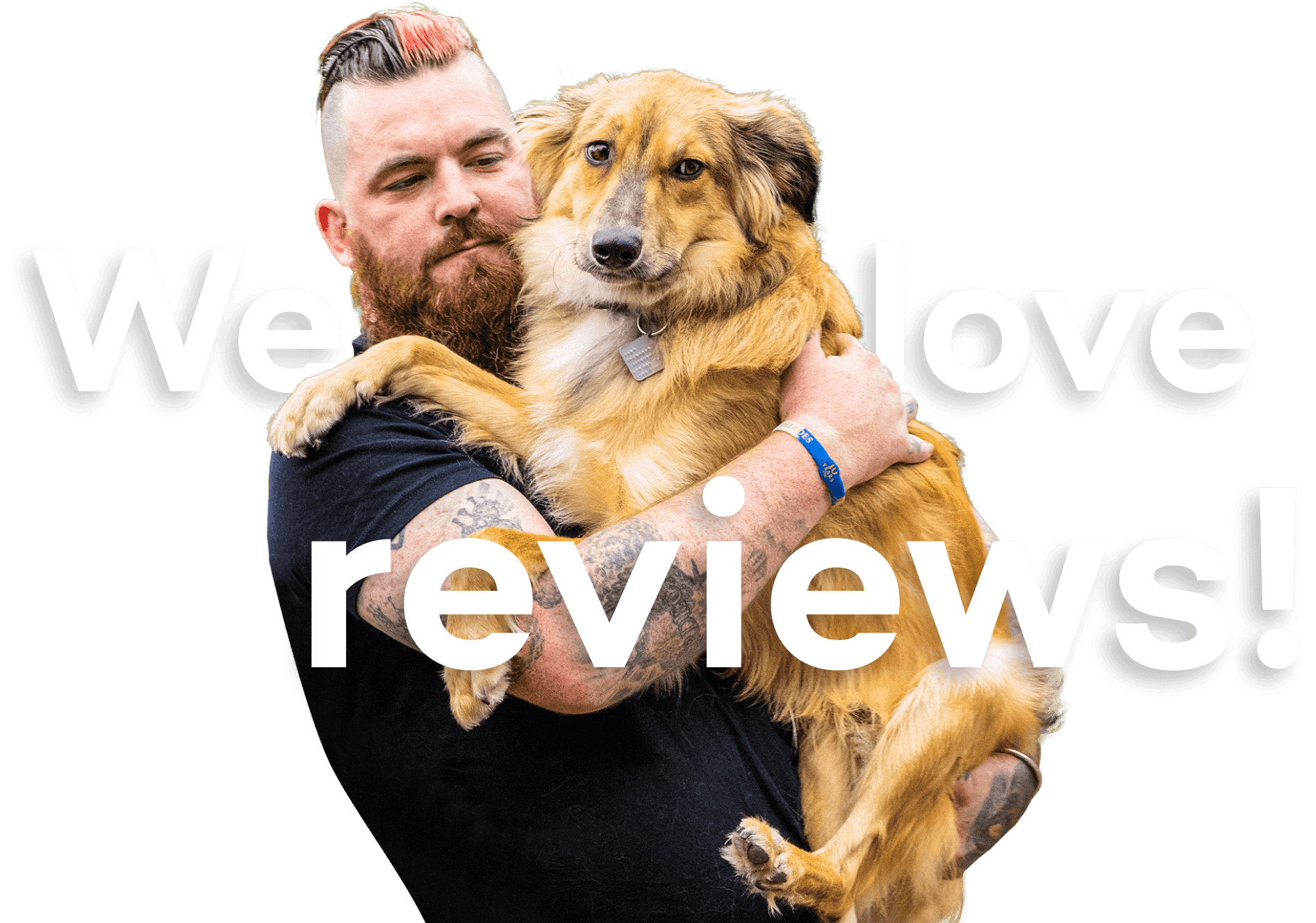 We love reviews!