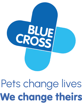 Blue Cross image